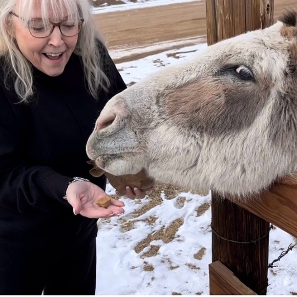 Meet your Posher, Elizabeth ♥️ - Picture 5 of 9